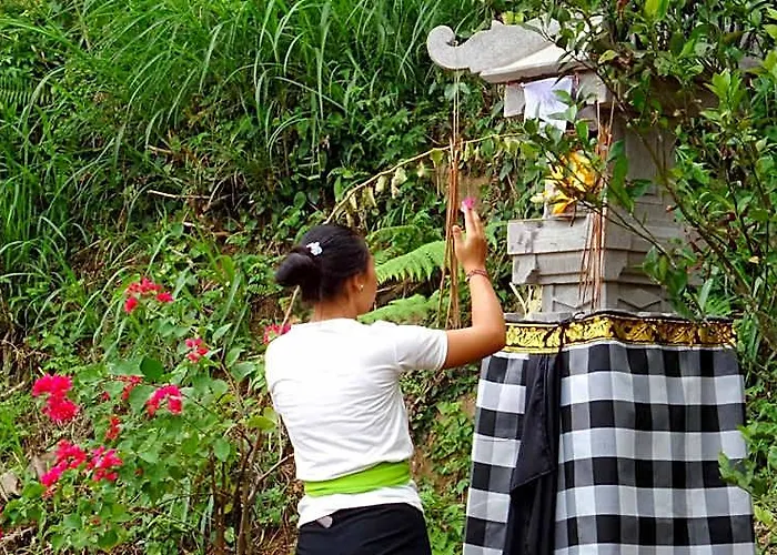 ホテル Themma Jungle - Sumptuous 3br Luxury With Majestic Jungle View In North Of Ubud