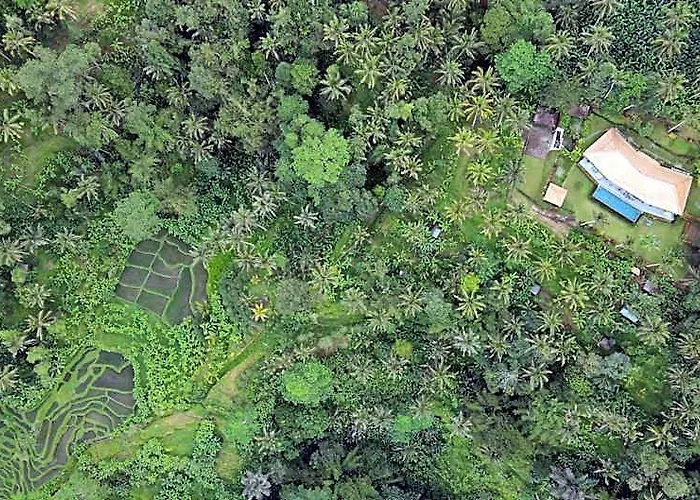 ホテル Themma Jungle - Sumptuous 3br Luxury With Majestic Jungle View In North Of Ubud バリ島